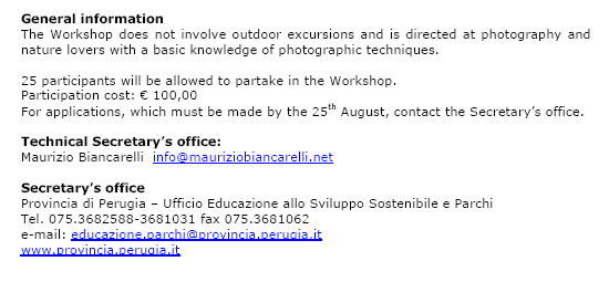 1 Workshop of Naturalistic Photography